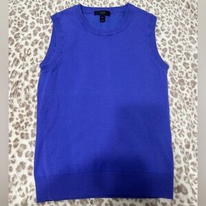 Purple J.crew sweater vest! ( looks blue on camera but is purple!!)